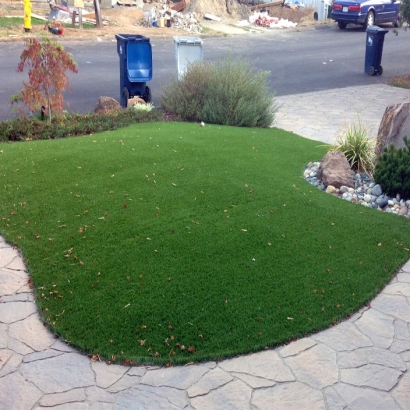 Artificial Turf Cost Charlotte, Tennessee Home And Garden