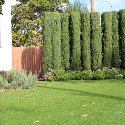 Artificial Turf Cost Decherd, Tennessee Landscaping, Front Yard Landscaping Ideas