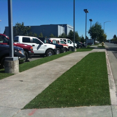 Artificial Turf Cost Medina, Tennessee Roof Top, Commercial Landscape