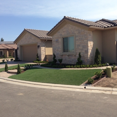 Artificial Turf Cost Moscow, Tennessee Backyard Playground, Front Yard