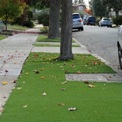 Artificial Turf Installation Millersville, Tennessee Home And Garden, Landscaping Ideas For Front Yard