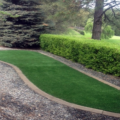 Artificial Turf Installation Pleasant Hill, Tennessee Roof Top