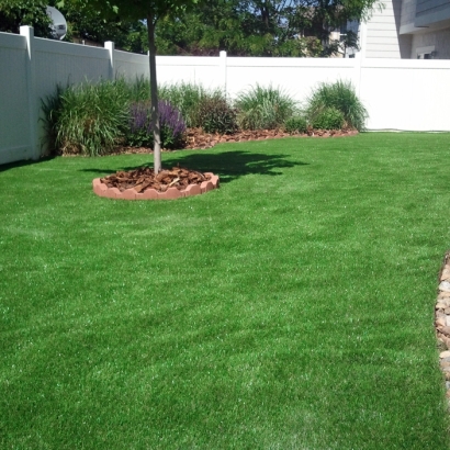 Best Artificial Grass Halls, Tennessee Landscape Design, Backyard Garden Ideas