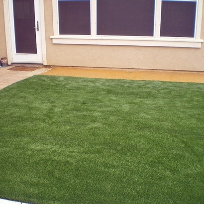 Best Artificial Grass White House, Tennessee Landscape Rock, Backyard Ideas