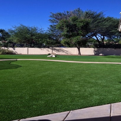 Best Artificial Grass Wrigley, Tennessee Landscape Photos, Front Yard Landscaping Ideas