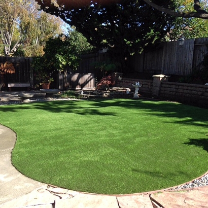 Fake Grass Carpet Apison, Tennessee Lawn And Garden, Backyard