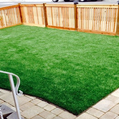 Fake Grass Carpet Coalfield, Tennessee Gardeners, Backyard Landscaping Ideas