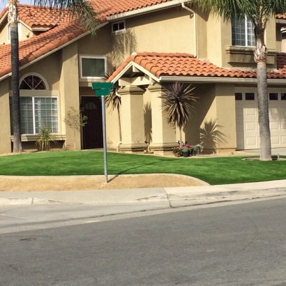 Fake Grass Coalmont, Tennessee Roof Top, Small Front Yard Landscaping