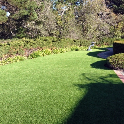 Fake Grass New Deal, Tennessee Gardeners, Front Yard Landscape Ideas