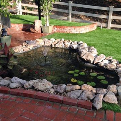 Fake Lawn Chapel Hill, Tennessee Rooftop, Swimming Pools