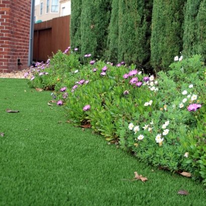 Fake Turf Orme, Tennessee Gardeners, Front Yard Ideas