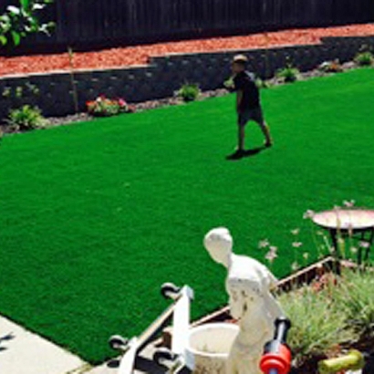 Faux Grass Harriman, Tennessee Landscape Design, Backyard