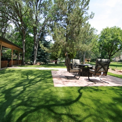 Faux Grass Stantonville, Tennessee Landscape Ideas, Backyard Landscaping