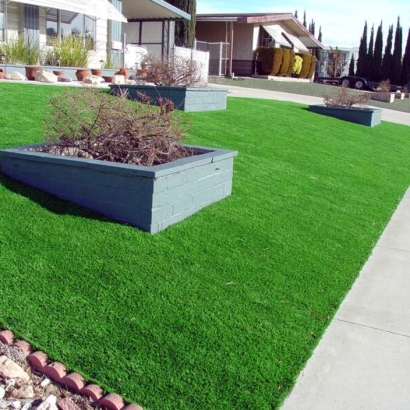 Grass Carpet Doyle, Tennessee Landscape Design, Front Yard Landscaping