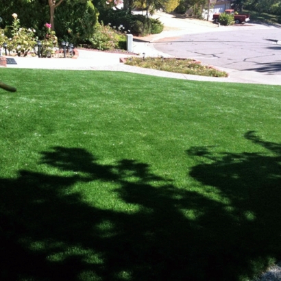 Grass Carpet Gibson, Tennessee Garden Ideas, Front Yard Ideas