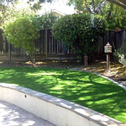 Grass Carpet Guys, Tennessee Home And Garden, Commercial Landscape