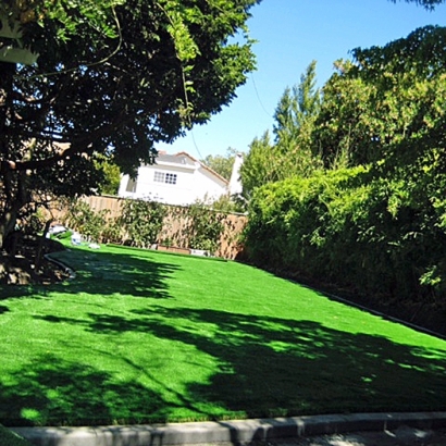 Grass Carpet Milan, Tennessee Landscape Photos, Backyard Ideas