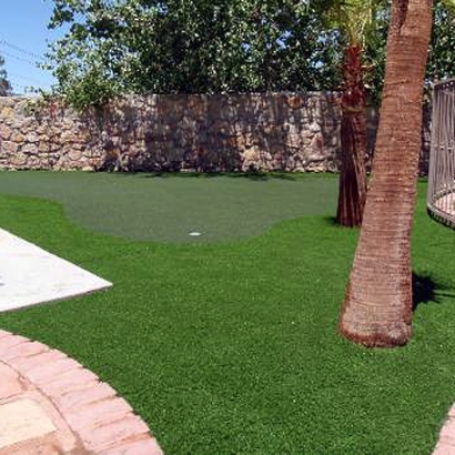 Grass Installation Fincastle, Tennessee Backyard Putting Green, Backyard Garden Ideas