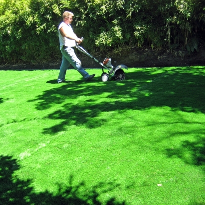 Grass Installation Jackson, Tennessee Lawn And Landscape, Backyard Landscaping