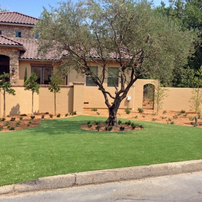 Grass Turf Spring Hill, Tennessee Roof Top, Small Front Yard Landscaping