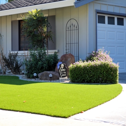 Grass Turf Spurgeon, Tennessee Roof Top, Front Yard Design