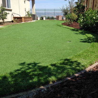 How To Install Artificial Grass Minor Hill, Tennessee Lawn And Garden, Small Backyard Ideas