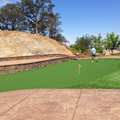 Installing Artificial Grass Oakdale, Tennessee Putting Green, Backyard Ideas