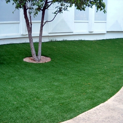 Outdoor Carpet Tiptonville, Tennessee Landscape Ideas, Commercial Landscape