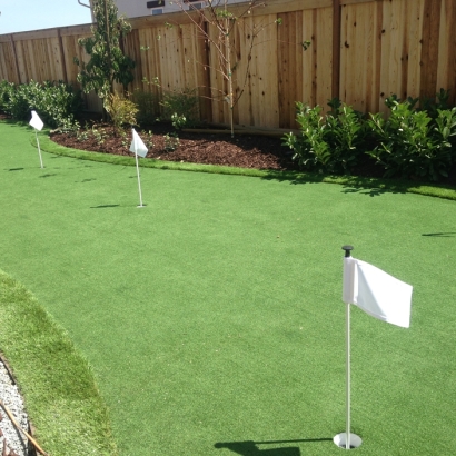 Plastic Grass Goodlettsville, Tennessee Artificial Putting Greens, Backyard Design