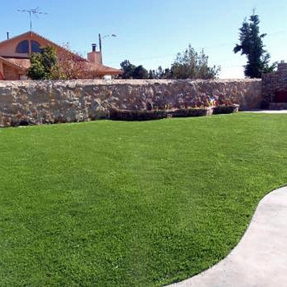 Synthetic Turf Green Hill, Tennessee Backyard Playground, Backyard Garden Ideas