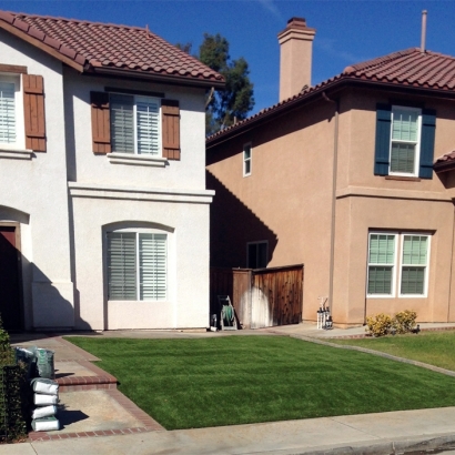 Synthetic Turf Hillsboro, Tennessee Roof Top, Front Yard Landscape Ideas