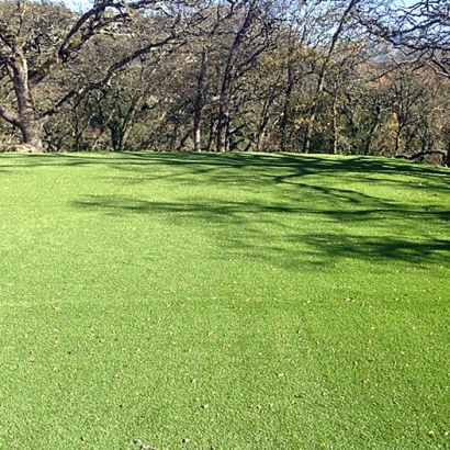 Synthetic Turf Supplier Pleasant Hill, Tennessee Backyard Deck Ideas, Parks