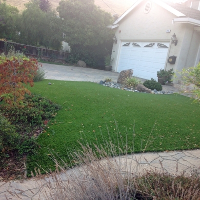 Synthetic Turf Tennessee Ridge, Tennessee Backyard Playground, Landscaping Ideas For Front Yard