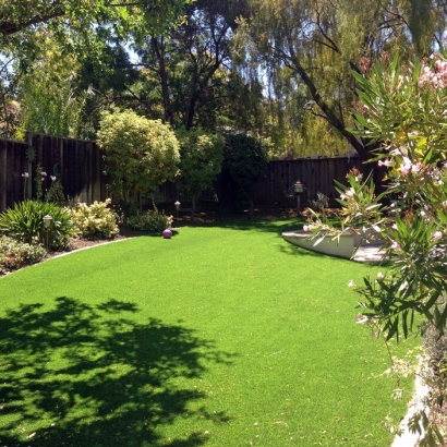 Turf Grass Martin, Tennessee Paver Patio, Beautiful Backyards