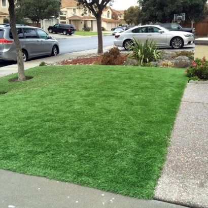 Turf Grass Walterhill, Tennessee Landscape Photos, Front Yard Landscaping