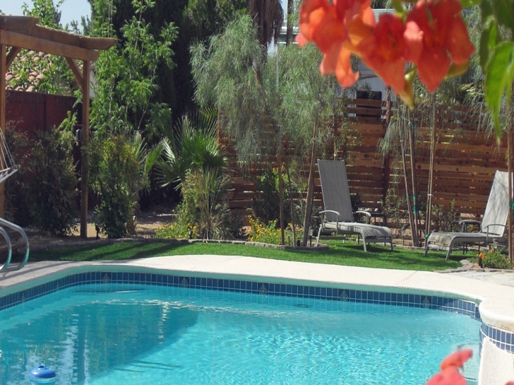 Artificial Grass Auburntown, Tennessee Rooftop, Backyard Pool