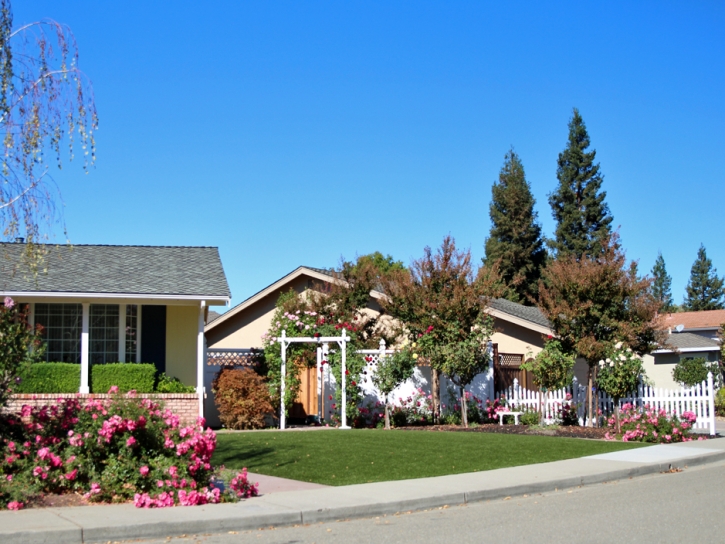 Artificial Grass Burlison, Tennessee Landscaping Business, Small Front Yard Landscaping