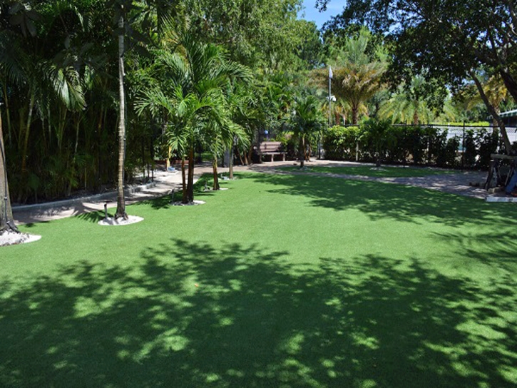 Artificial Grass Carpet Bon Aqua Junction, Tennessee Design Ideas, Commercial Landscape