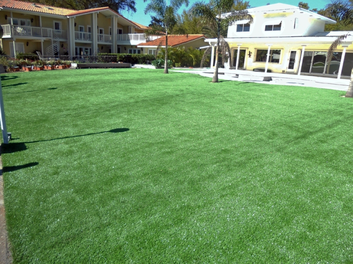 Artificial Grass Carpet Dowelltown, Tennessee Gardeners, Swimming Pool Designs