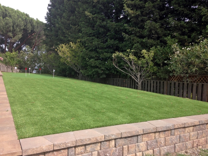 Artificial Grass Carpet Gilt Edge, Tennessee Gardeners, Backyard