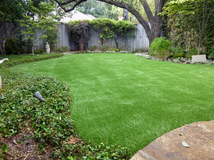 Artificial Grass Carpet Graball, Tennessee Rooftop, Backyards