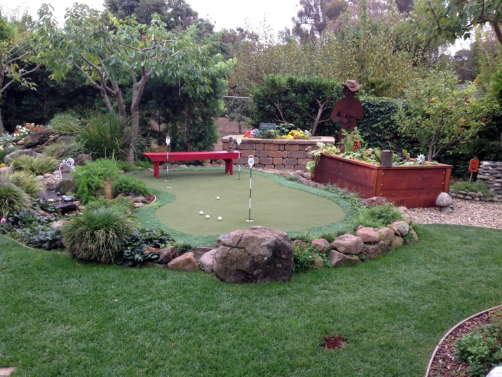 Artificial Grass Carpet Hornbeak, Tennessee Landscape Design, Backyard Landscaping Ideas