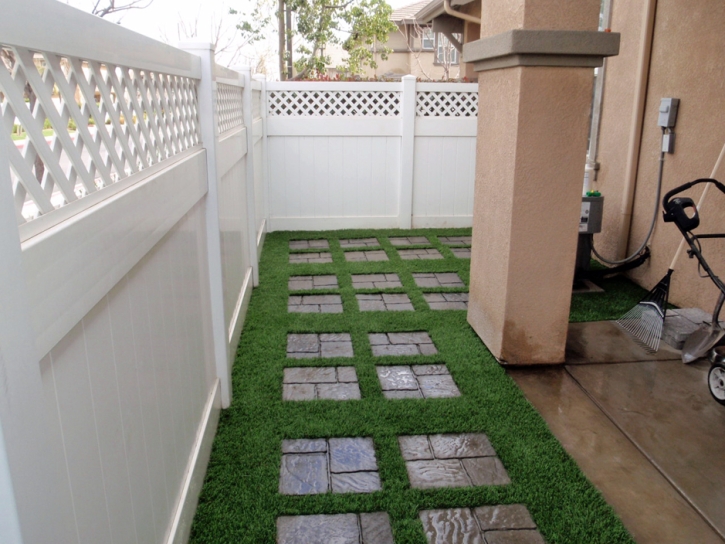 Artificial Grass Carpet Lookout Mountain, Tennessee Lawn And Garden, Pavers