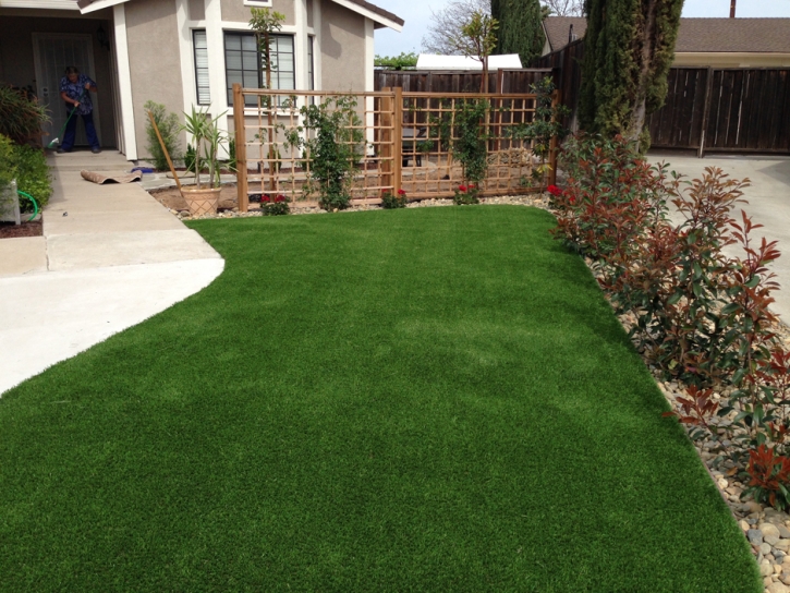 Artificial Grass Carpet Petros, Tennessee Backyard Playground, Small Front Yard Landscaping