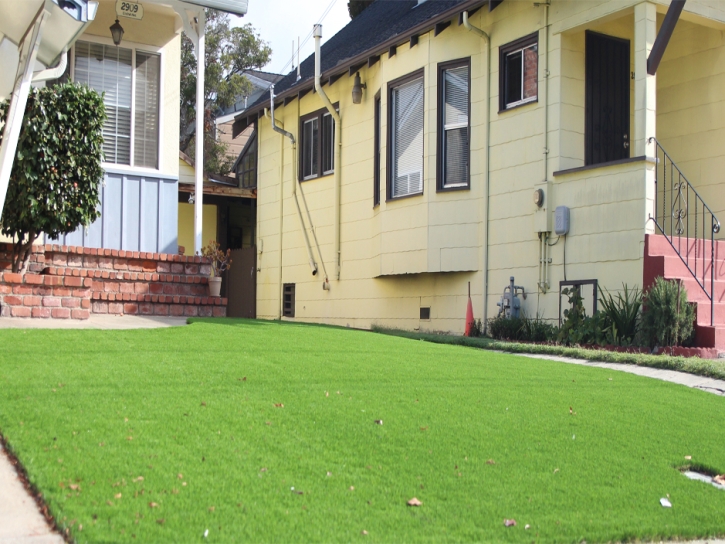 Artificial Grass Carpet Wartrace, Tennessee Landscaping, Front Yard Landscaping