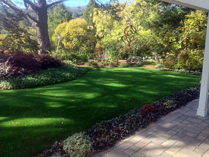 Artificial Grass Darden, Tennessee Paver Patio, Backyard Design