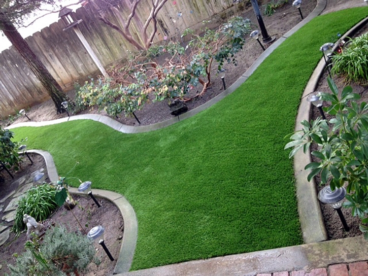 Artificial Grass Dayton, Tennessee Design Ideas, Backyard Landscaping