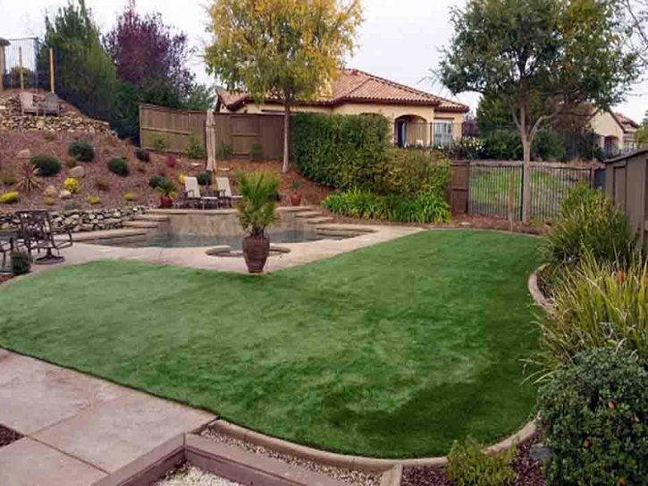 Artificial Grass Dowelltown, Tennessee Home And Garden, Backyard Design