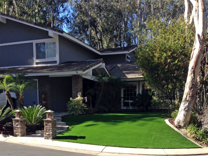 Artificial Grass Installation Bransford, Tennessee Landscaping Business, Front Yard Ideas