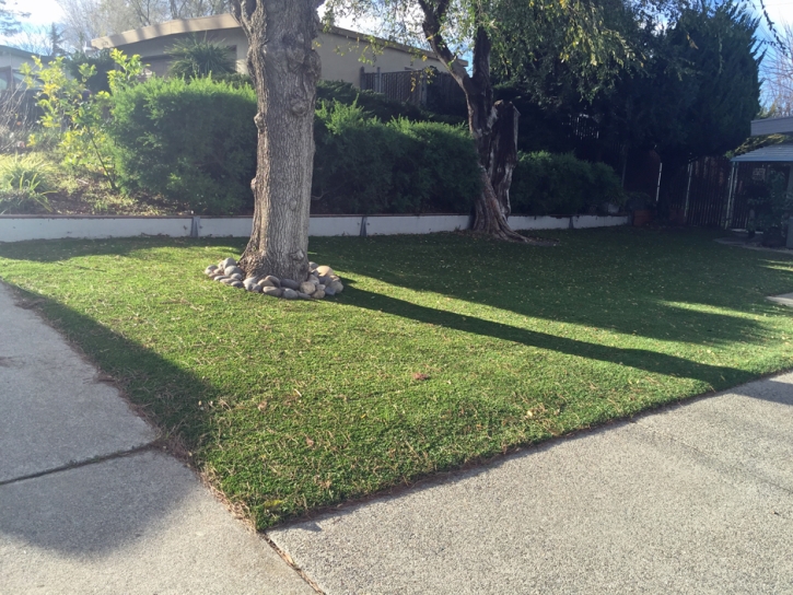 Artificial Grass Installation Falling Water, Tennessee City Landscape, Front Yard Landscaping Ideas